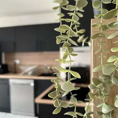 Appartement Le Catalina