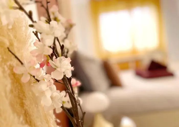 Le Catalina Appartement *