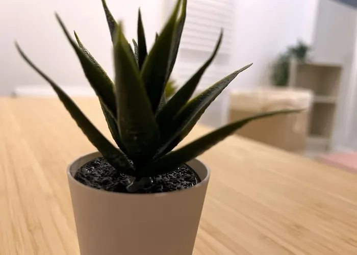 Le Catalina Saint-Sébastien-sur-Loire