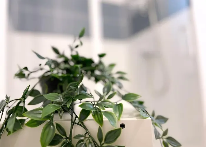 Le Catalina Appartement *